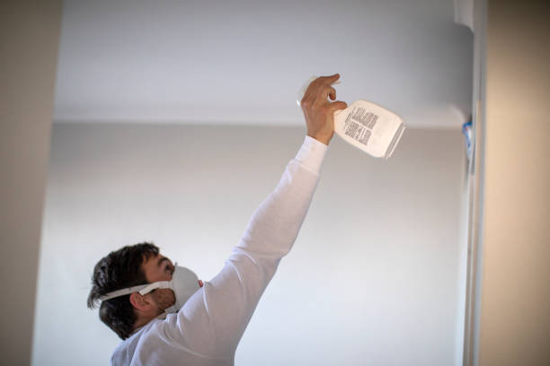 Best Mold Removal Specialists  in Jerseyvle, IL