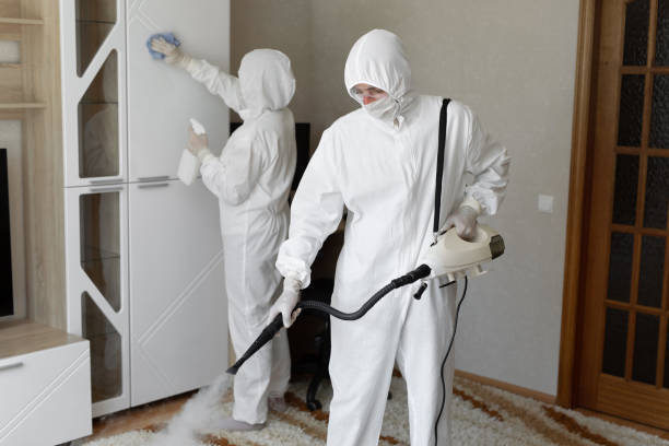 Best Professional Mold Removal  in Jerseyvle, IL
