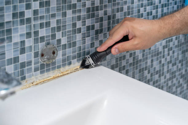Best Office Mold Removal Services  in Jerseyvle, IL