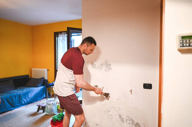 Best Best Mold Removal Companies  in Jerseyvle, IL